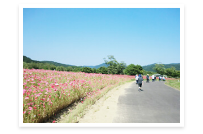 湖畔公園遠足の様子