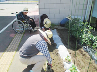 園芸の様子